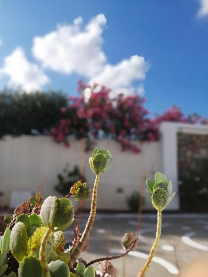 Mouras Resort Livadi  Екстериор снимка